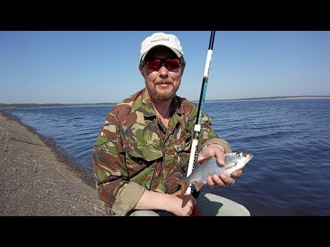 Видео: ПЛОТВА на поплавочку. Ваниль сработала!