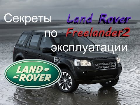 Видео: Секреты от Петровича №1 Замена масла, сброс сервисного интервала и OBD адаптер.