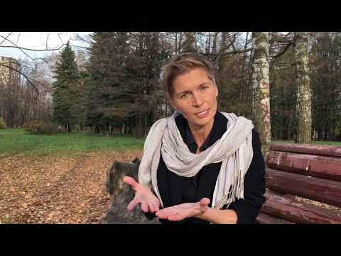 Видео: Совместимость: Близнецы + Козерог