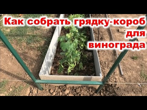 Видео: Как изготовить КОРОБА ДЛЯ ВИНОГРАДА
