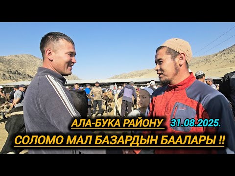 Видео: Ала-Бука району Соломо мал базардын бүгүнкү баалары. 31.08.2025.