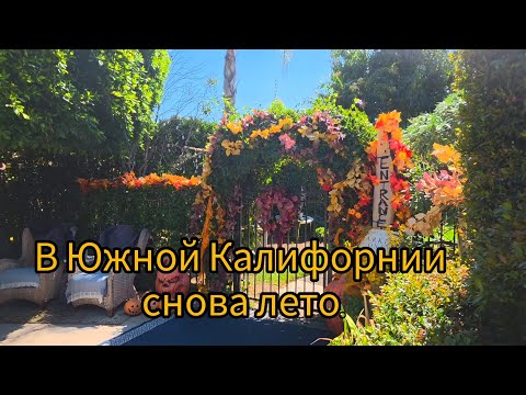 Видео: ДОРОЖНЫЕ РАЗГОВОРЫ. ГОЛОВНАЯ БОЛЬ.КАК СЕБЕ ПОМОЧЬ.