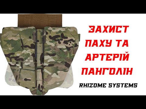 Видео: Захист Паху та Артерій Панголін