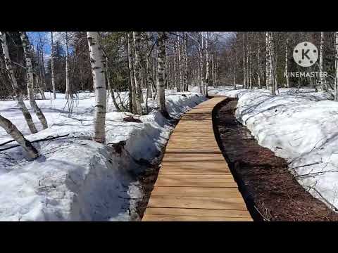 Видео: Пермский край. Каменный город.