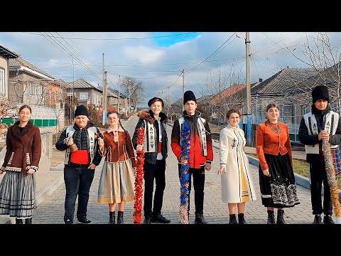 Видео: "Hêy-hêy türküsü" Никита Панаитов и его друзья