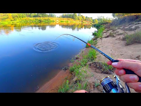 Видео: Подобрал РАБОЧИЙ ЦВЕТ и рыбалка пошла! Ловля СУДАКА и щуки на спиннинг в жару! Рыбалка 2022!