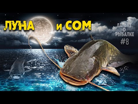 Видео: Влияние луны на клёв сома. Рыбалка на сома и фазы луны | #Дальке о рыбалке 8