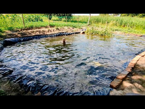 Видео: Купаюсь в садовом пруду и кормлю карасей