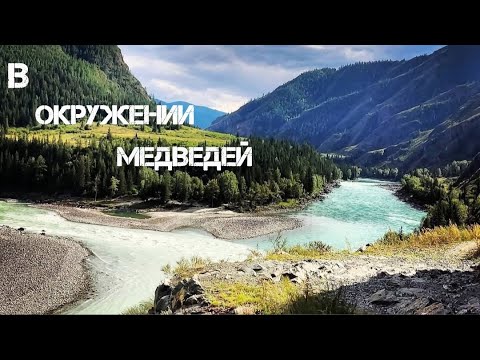 Видео: Опасный Алтай. В окружении медведей. Тюнгурская тропа. Слияние рек Катуни и Аргута. Часть 4