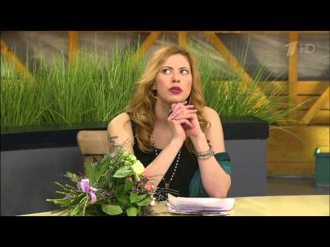 Видео: Три поэта на "Давайпоженимся!" ( часть первая )