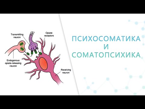 Видео: Психосоматика языком науки