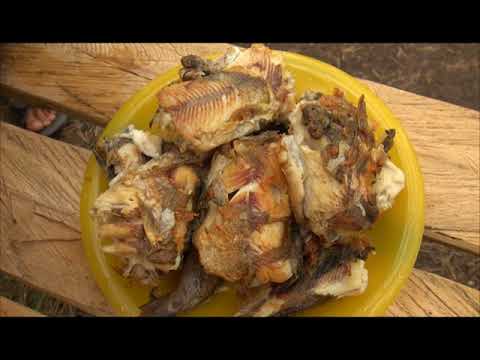 Видео: Подводная охота и рыбалка на реке Амга