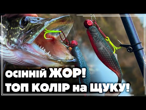 Видео: ✅️ Це ЖОР ‼️🔥 ТОП КОЛІР ВОСЕНИ 🍂🍁 та МАГІЧНА ПРИМАНКА, яка ЛОВИТЬ КРУПНУ ЩУКУ 🎣🐊ЗАВЖДИ‼️
