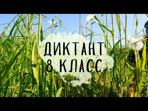 Видео: Диктант по русскому языку 8 класс «Ярмарка» [с проверкой]