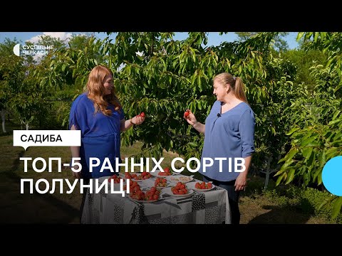 Видео: Який сорт полуниці обрати?