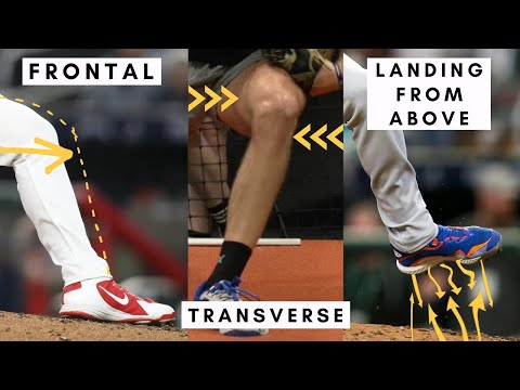 Видео: 6 упражнений, которые помогут исправить переднюю ногу