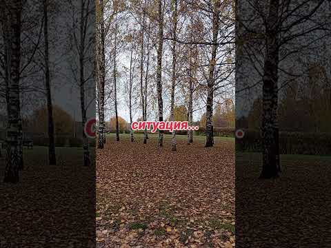 Видео: 28 октября 2025 г.