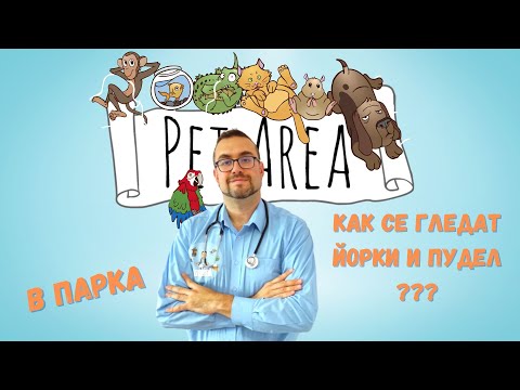 Видео: РАЗХОДКА В ПАРКА ! ЙОРКИ И ПУДЕЛ 🌳🐾