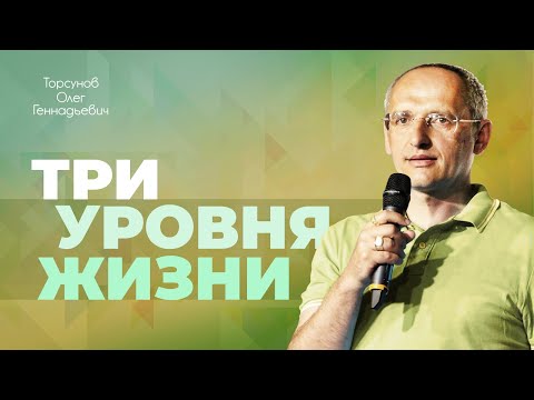Видео: Уровни сознания человека (Торсунов О. Г.)