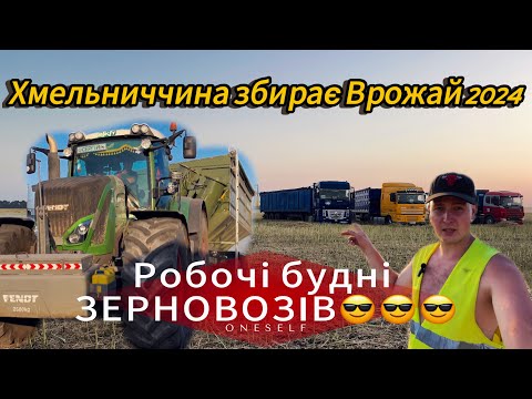 Видео: Розпочали збирання ранніх зернових. Частина 1...Хмельниччина збирає врожай 2024.