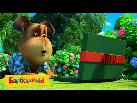 Видео: Барбоскины 🎁 Тайная посылка 🎁 Сборник мультиков для детей