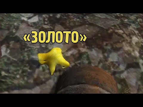 Видео: Нашёл ЗОЛОТО среди МУСОРА - STALKER Приключения Толика #2