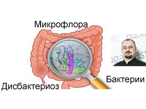 Видео: Микрофлора толстой кишки. Её значение. Дисбактериоз.