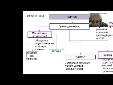 Видео: 1.  Введение в Гистологию