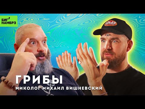 Видео: Грибы нас всех погубят? | МИКОЛОГ МИХАИЛ ВИШНЕВСКИЙ (часть 1)