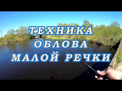 Видео: Тактика ОБЛОВА Малой речки! Правильно УГОВОРИТЬ Пассивную ЩУКУ!