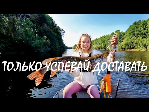 Видео: ИЩЕМ РЫБНЫЕ МЕСТА! Дерзкие поклевки на поппер! Рыбная река продолжает удивлять!