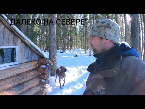 Видео: В Тайгу на охотничий домик с собакой! Следы Рыси! Подготовка к весеннему охотничьему сезону!!!!