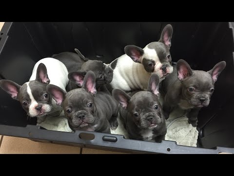 Видео: Как выбрать шпильку