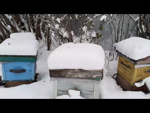 Видео: 7 октября.Погода не радует...