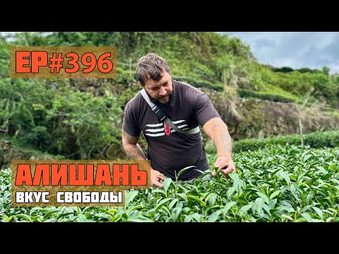 Видео: 396. Тайваньские улуны. Габа Алишань.