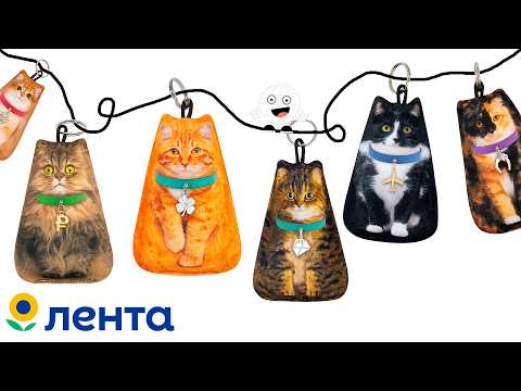 Видео: Рогов и Коты в Ленте! Обзор акции