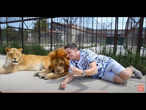 Видео: Блогер Дима Масленников в Тайгане СРЕДИ ЛЬВОВ!