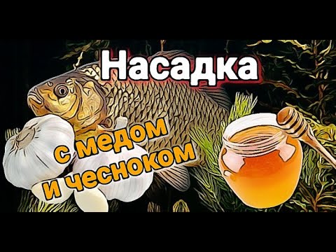 Видео: Как приготовить макароны с медом и чесноком для ловли на фидер и удочку.