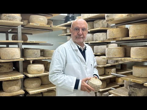 Видео: От фотографии до кустарного производства сыра | Сыры Чанаккале Гемедере
