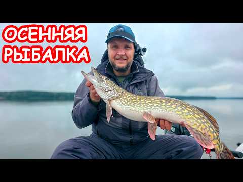 Видео: ЛОВИМ ЩУКУ ОСЕНЬЮ. ПРИМАНКИ НА ЩУКУ