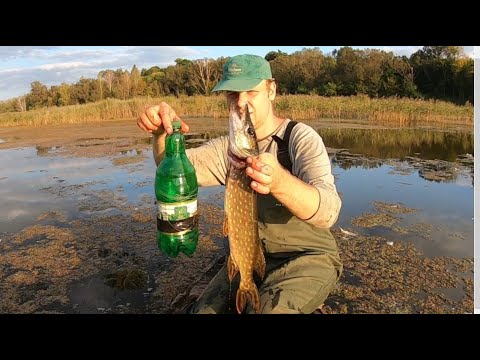 Видео: Щука на бутылку. Загорелась лодка