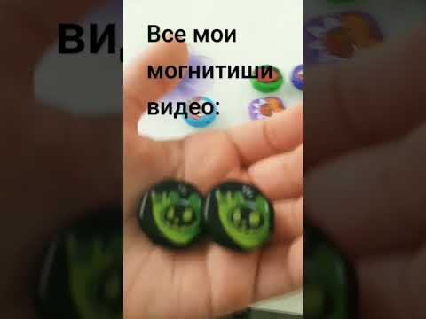 Видео: Видео: магнитыши