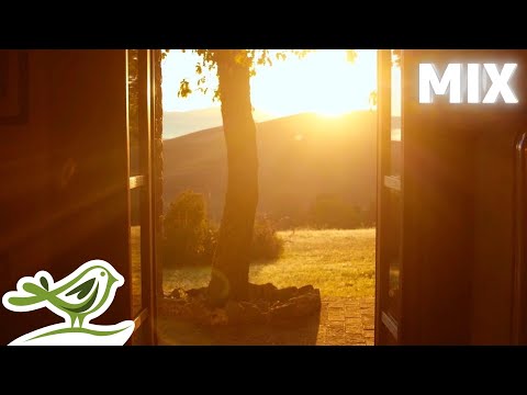 Видео: Успокаивающая музыка фортепиано, гитары и виолончели • Расслабляющий плейлист от Peder B. Helland