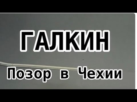 Видео: Галкин позор в Чехии