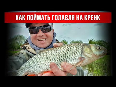 Видео: Как поймать голавля на кренк