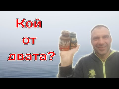 Видео: Има ли шаранът къща? | Част 2: Риболов от ръка