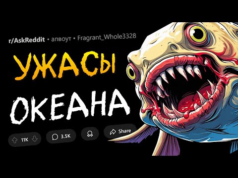 Видео: ЖУТКИЕ СУЩЕСТВА ОКЕАНА (ФОТО + ВИДЕО)