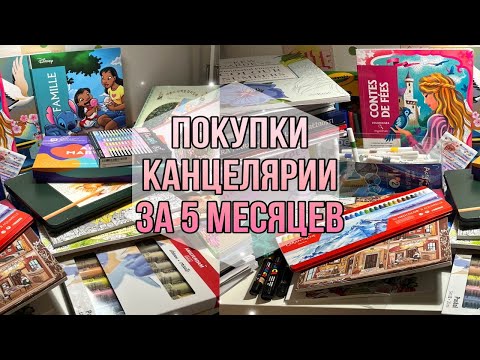 Видео: покупки КАНЦЕЛЯРИИ за 5 месяцев