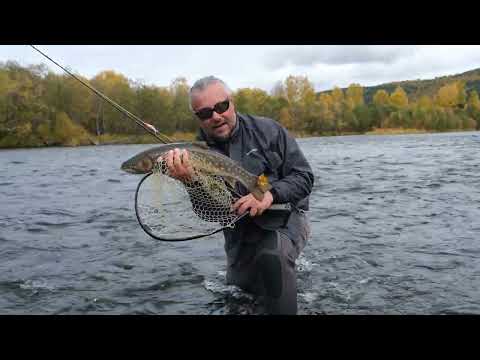 Видео: Случайно попали на Жупанова, а хотели на Воровскую. Камчатка всегда прекрасна, особенно с комфортом.