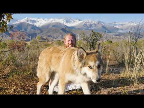 Видео: Боишься раздуть эго?